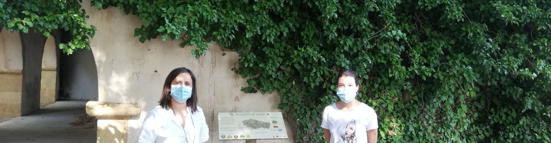 La Diputació fa panells informatius sobre arbres monumentals de Culla, Albocàsser, Cabanes i Borriol
