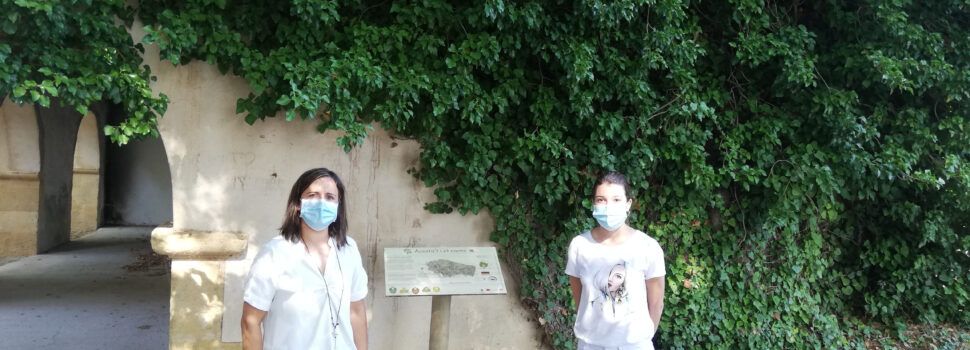 La Diputació fa panells informatius sobre arbres monumentals de Culla, Albocàsser, Cabanes i Borriol