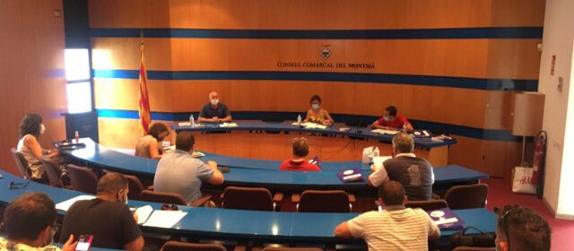 Carme Masià, primera dona a presidir el Consell Esportiu del Montsià