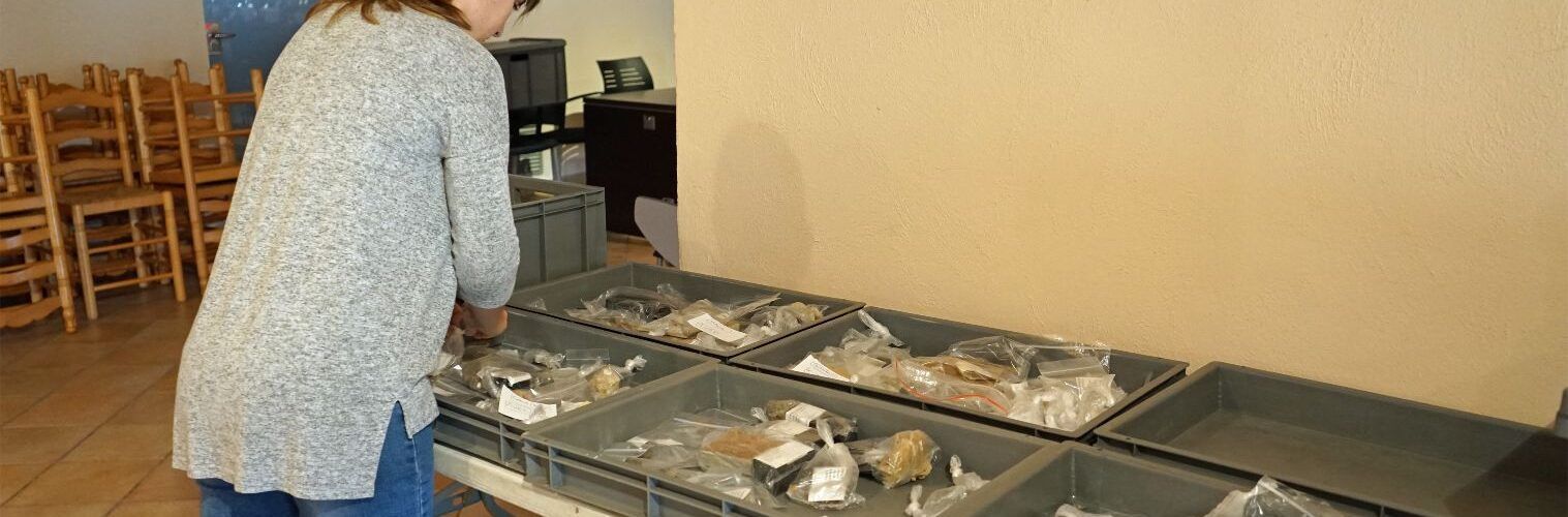 L’Ajuntament de Santa Bàrbara i el Museu de les Terres de l’Ebre documenten més de 3.100 peces paleontològiques i minerals
