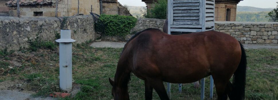 Resumen del junio meteorológico en Morella