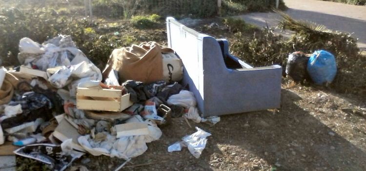 Fem acumulat al voltant de contenidors a Vinaròs