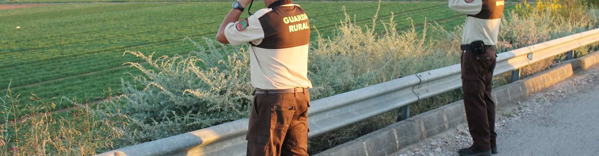 Guardes rurals a l’Aldea per evitar robatoris de collites