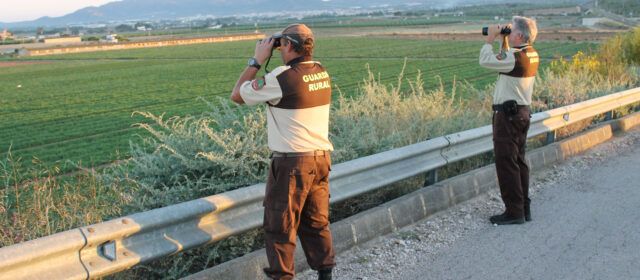 Guardes rurals a l’Aldea per evitar robatoris de collites