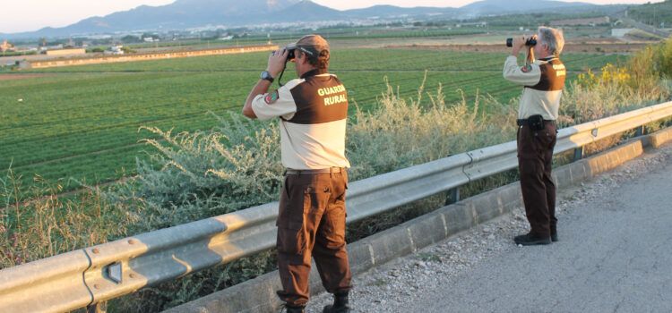 Guardes rurals a l’Aldea per evitar robatoris de collites