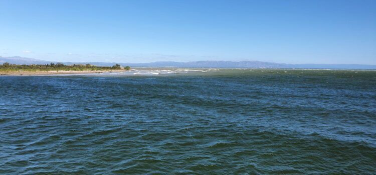 Vídeos: desembocadura de l’Ebre