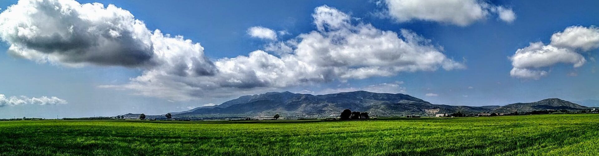 Fotos: Els camps d’arròs del Delta de l’Ebre