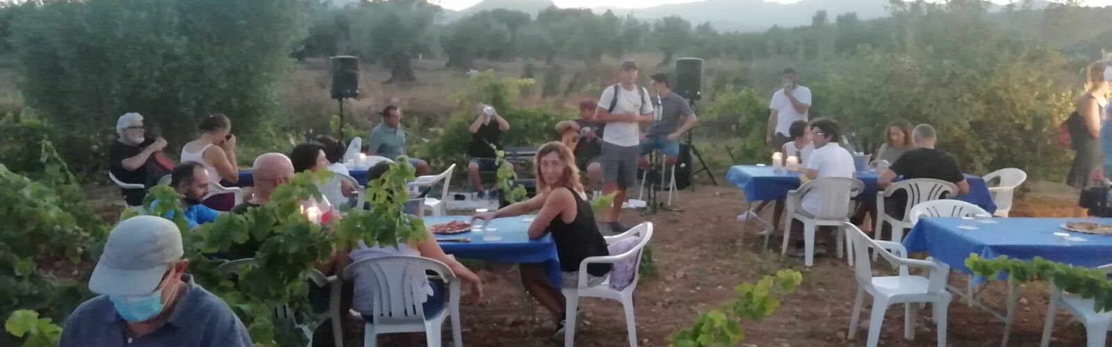 La ruta per les oliveres de Canet lo Roig congrega un nodrit nombre de participants