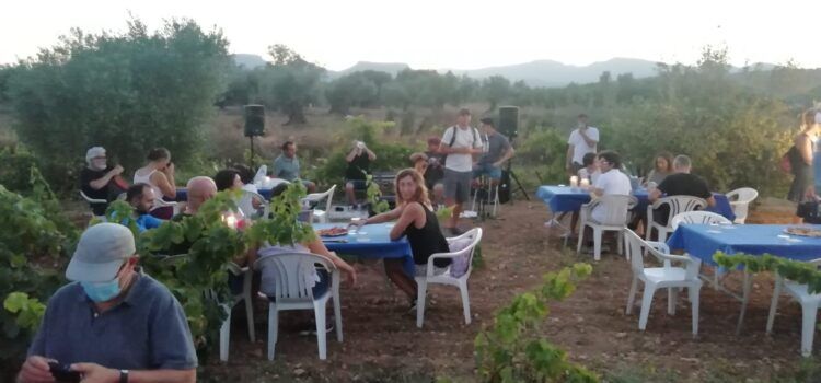 La ruta per les oliveres de Canet lo Roig congrega un nodrit nombre de participants