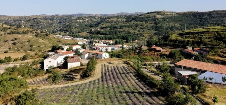El temps, durant el juliol a Morella