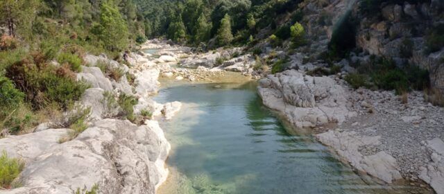 Fotos: El Servol per Canet, en ple agost