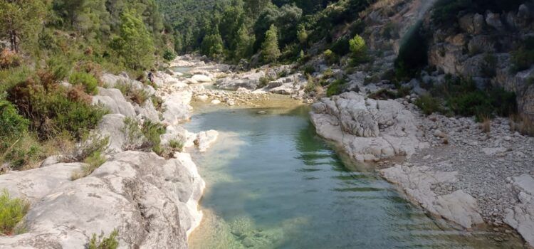 Fotos: El Servol per Canet, en ple agost