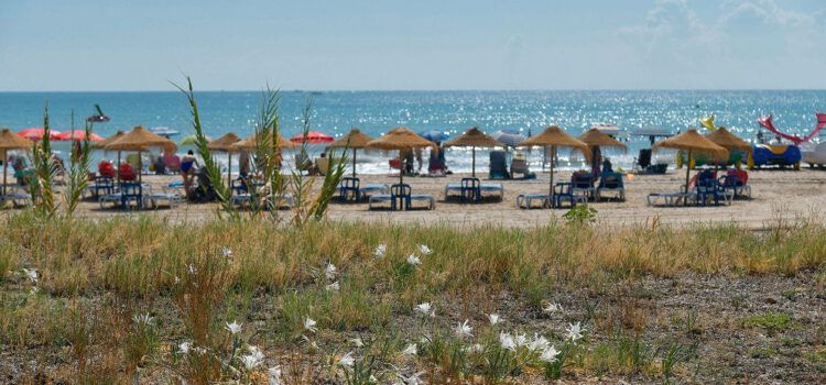 L’Ajuntament d’Alcalà-Alcossebre adjudica la redacció del Pla Estratègic de Turisme 2020-2024