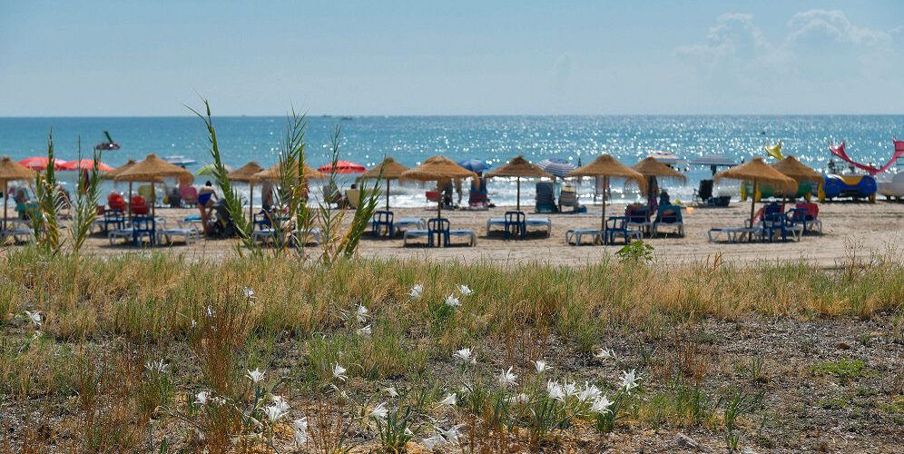 L’Ajuntament d’Alcalà-Alcossebre adjudica la redacció del Pla Estratègic de Turisme 2020-2024