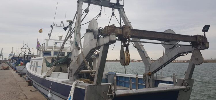 Les embarcacions d’arrossegament de Peníscola i Castelló tornen demà a la mar després de dos mesos sense pescar