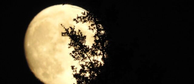 Fotos: Lluna plena, fotografiada des de Vallibona
