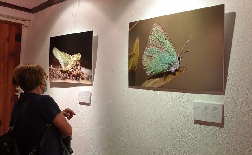 L’exposició fotogràfica “Anant per casa” a Vilafranca s’allarga fins al 27 de setembre