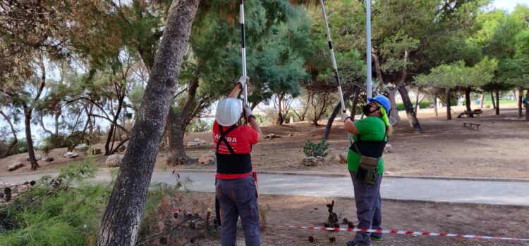 Els alumnes del taller “Et Formem” de Vinaròs adeqüen el bosc mediterrani del passeig de Fora del Forat