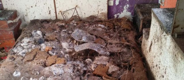 Desparasitada la casa de Vinaròs hallada destrozada, tras dejarla su arrendataria