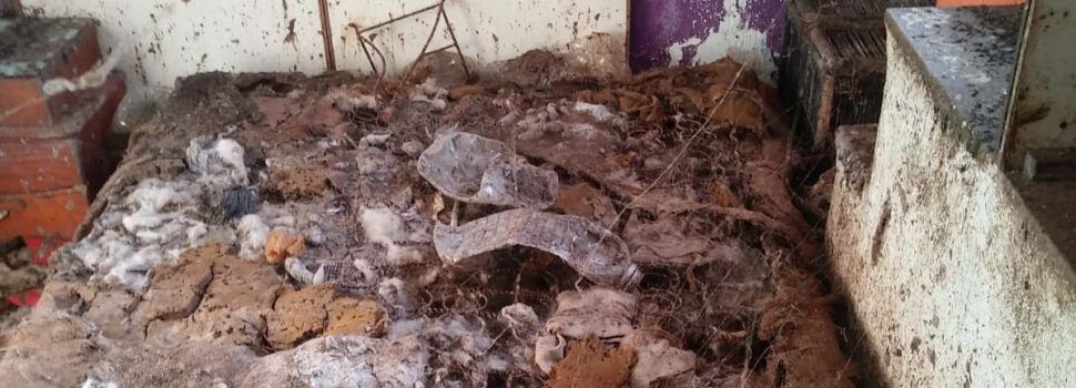 Desparasitada la casa de Vinaròs hallada destrozada, tras dejarla su arrendataria