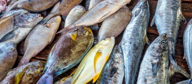 COINCOPESCA sol·licita que es mantinga el tradicional ranxo dels pescadors