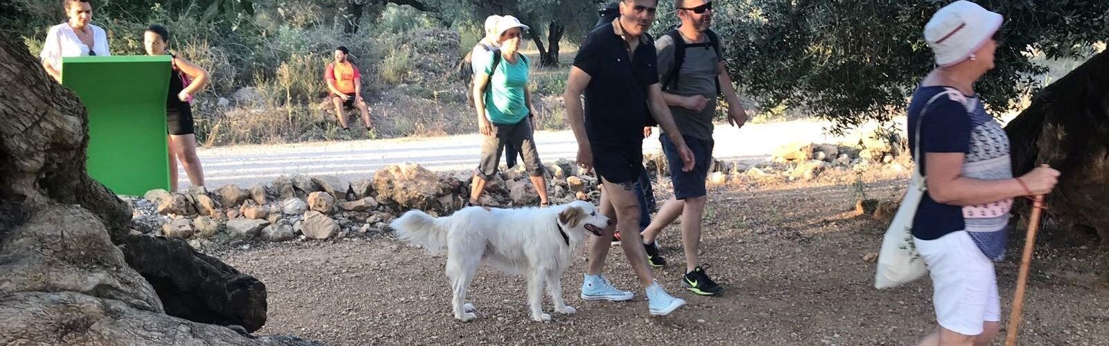 Dues rutes essencials per a descobrir les bondats de Canet lo Roig
