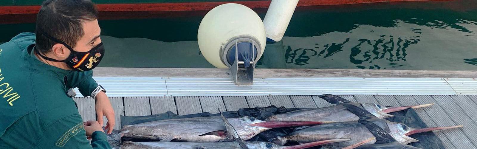 Incautada a una una embarcación seis peces espada de talla antirreglamentaria a unas 15 millas de las Islas Columbretes