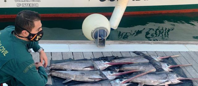 Incautada a una una embarcación seis peces espada de talla antirreglamentaria a unas 15 millas de las Islas Columbretes
