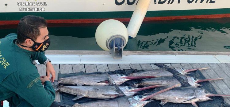 Incautada a una una embarcación seis peces espada de talla antirreglamentaria a unas 15 millas de las Islas Columbretes