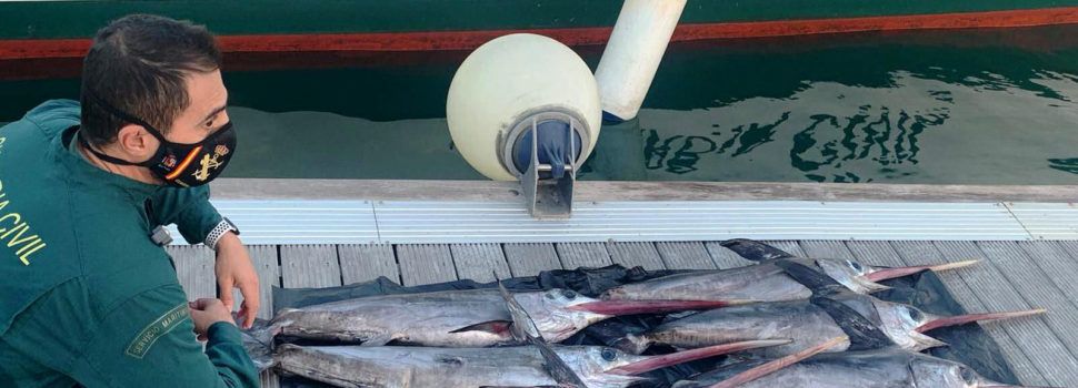 Incautada a una una embarcación seis peces espada de talla antirreglamentaria a unas 15 millas de las Islas Columbretes