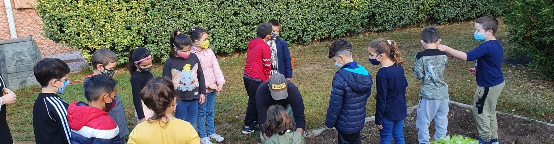Vídeo i fotos: Reviscolen els horts escolars a Vinaròs