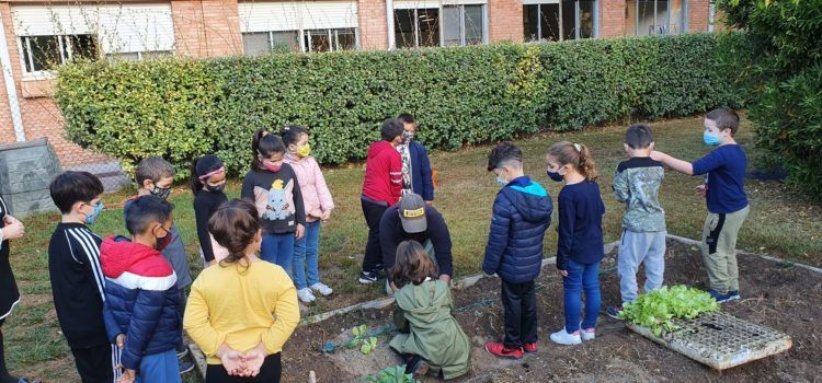 Vídeo i fotos: Reviscolen els horts escolars a Vinaròs