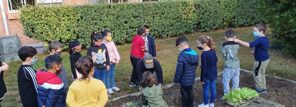 Vídeo i fotos: Reviscolen els horts escolars a Vinaròs