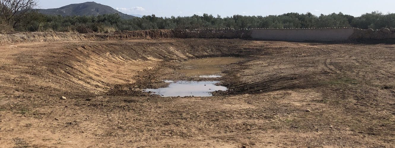 La Jana recupera la Bassa Xert després del deteriorament que ha anat sofrint els últims anys