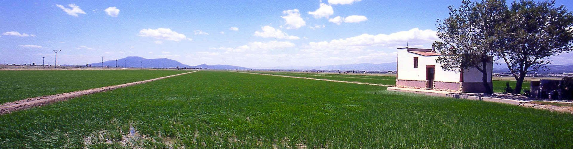 Les Terres de l’Ebre reconegudes per cinquè any consecutiu com una de les 100 millors destinacions sostenibles del món