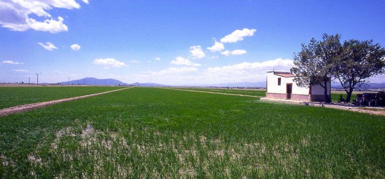 Les Terres de l’Ebre reconegudes per cinquè any consecutiu com una de les 100 millors destinacions sostenibles del món