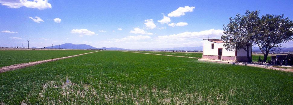 Les Terres de l’Ebre reconegudes per cinquè any consecutiu com una de les 100 millors destinacions sostenibles del món