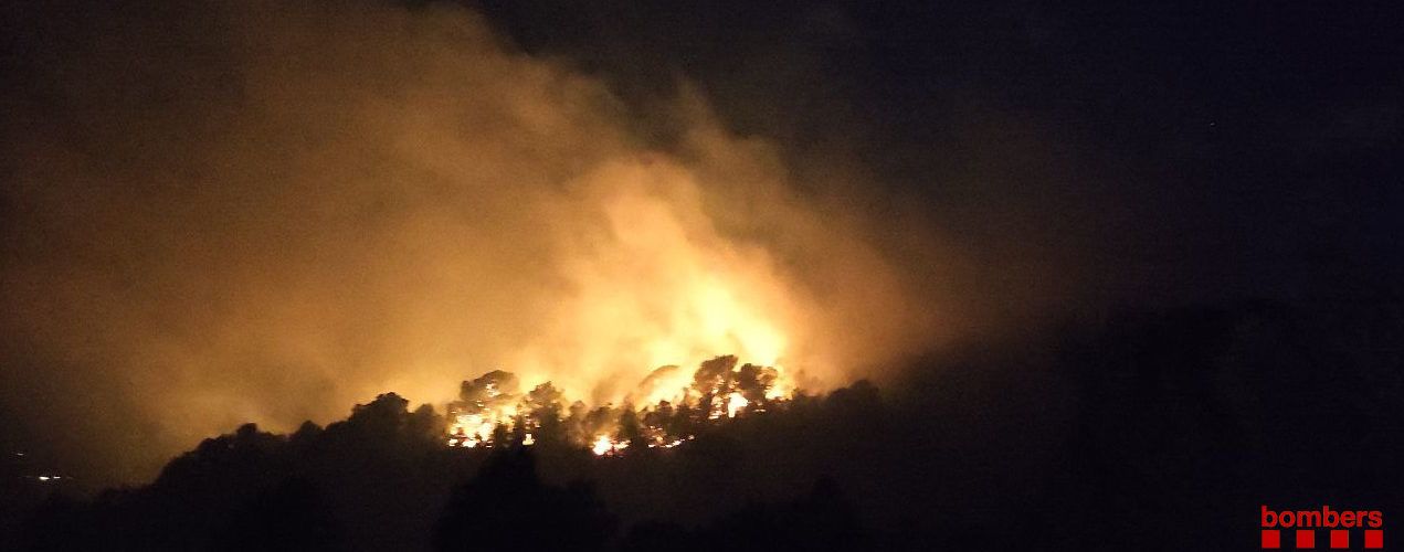 Incendi forestal a Tortosa