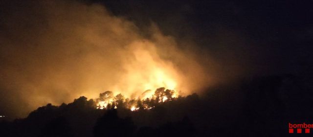 Incendi forestal a Tortosa