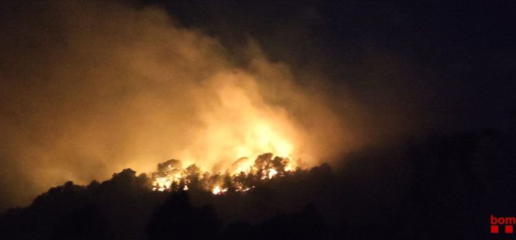 Incendi forestal a Tortosa