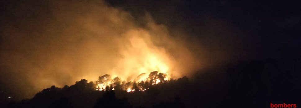 Incendi forestal a Tortosa