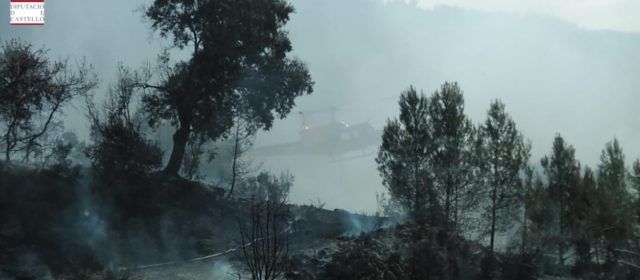 Extingit incendi forestal a Sorita