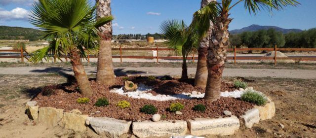Els alumnes del programa Et Formem adeqüen el parc de la Paret Blanca de Vinaròs
