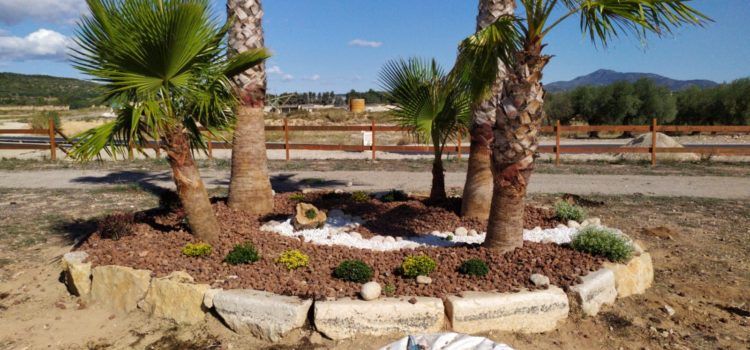 Els alumnes del programa Et Formem adeqüen el parc de la Paret Blanca de Vinaròs