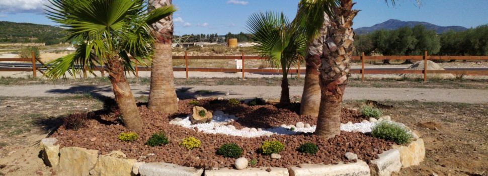 Els alumnes del programa Et Formem adeqüen el parc de la Paret Blanca de Vinaròs