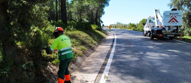 La Diputació realitza tasques de poda i tala en 108 km de la seva xarxa viària per prevenir incendis i millorar la visibilitat dels conductors