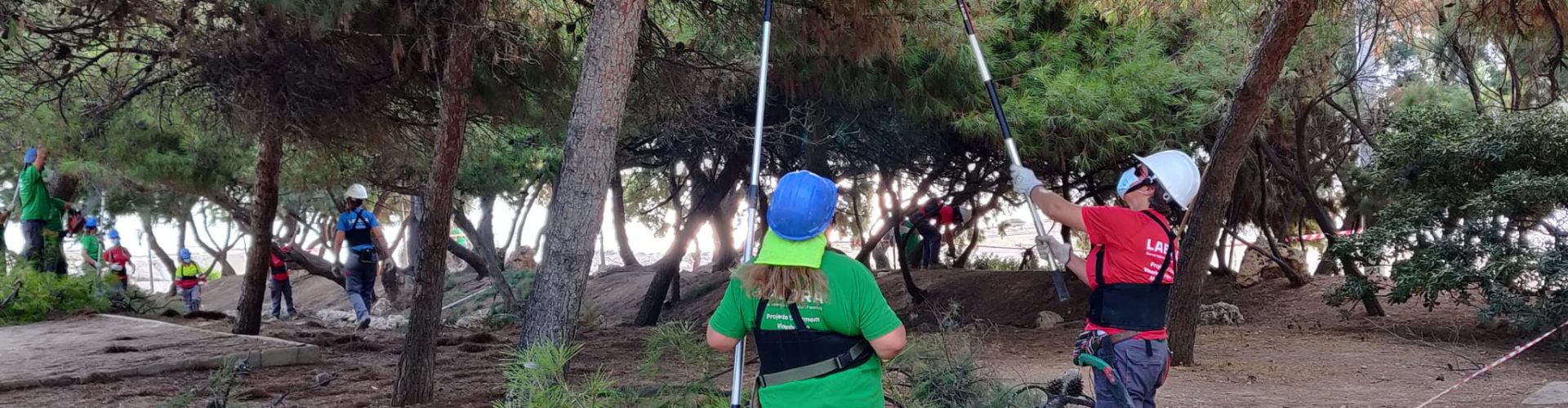 Vinaròs posarà en marxa una nova edició de l’Escola d’Ocupació Et Formem