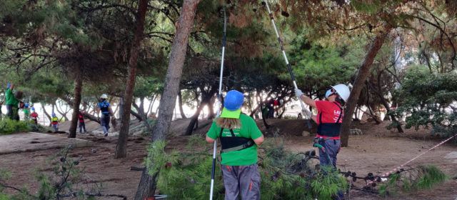 Vinaròs posarà en marxa una nova edició de l’Escola d’Ocupació Et Formem