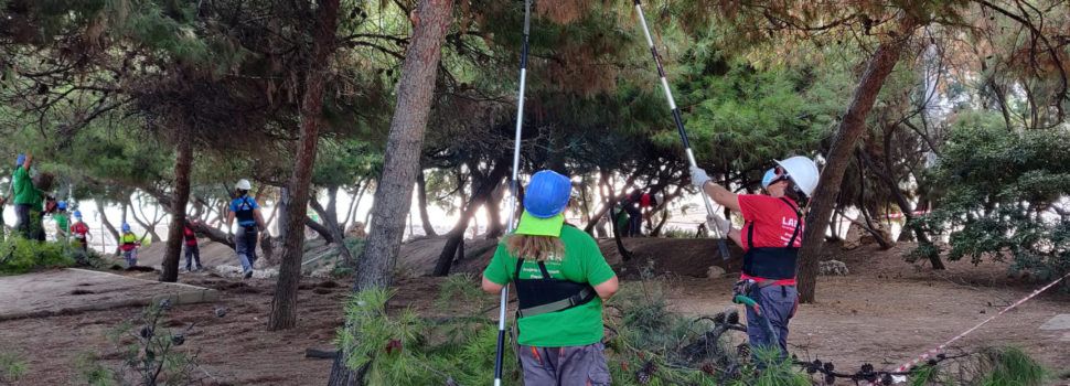 Vinaròs posarà en marxa una nova edició de l’Escola d’Ocupació Et Formem
