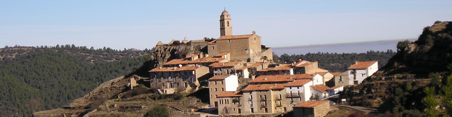 L’Ajuntament de Morella adjudica les pastures del mont d’Herbeset